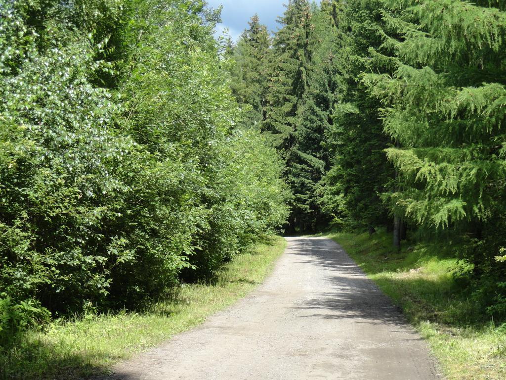 Ski-Bike Certovka Harrachov Exterior photo